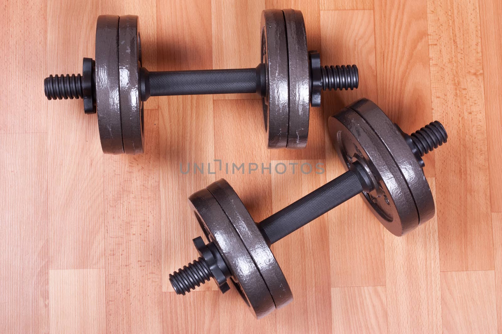 Two heavy dumbbells on a floor