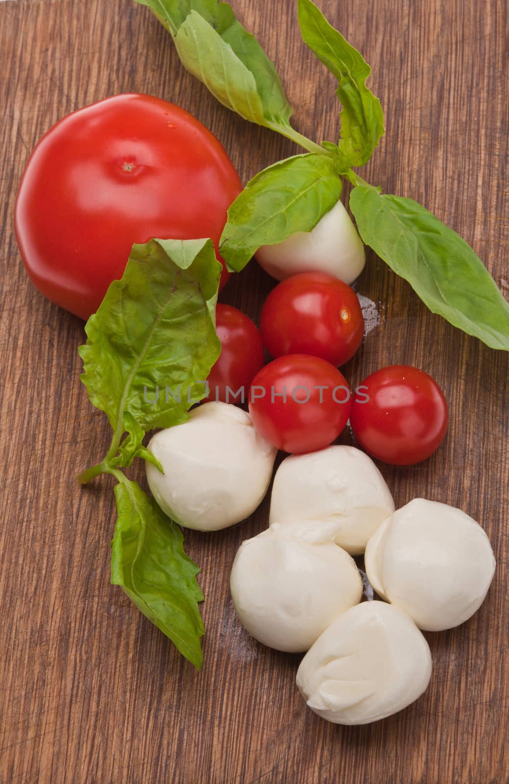 food series: mozzarella, tomato and basil on wood board