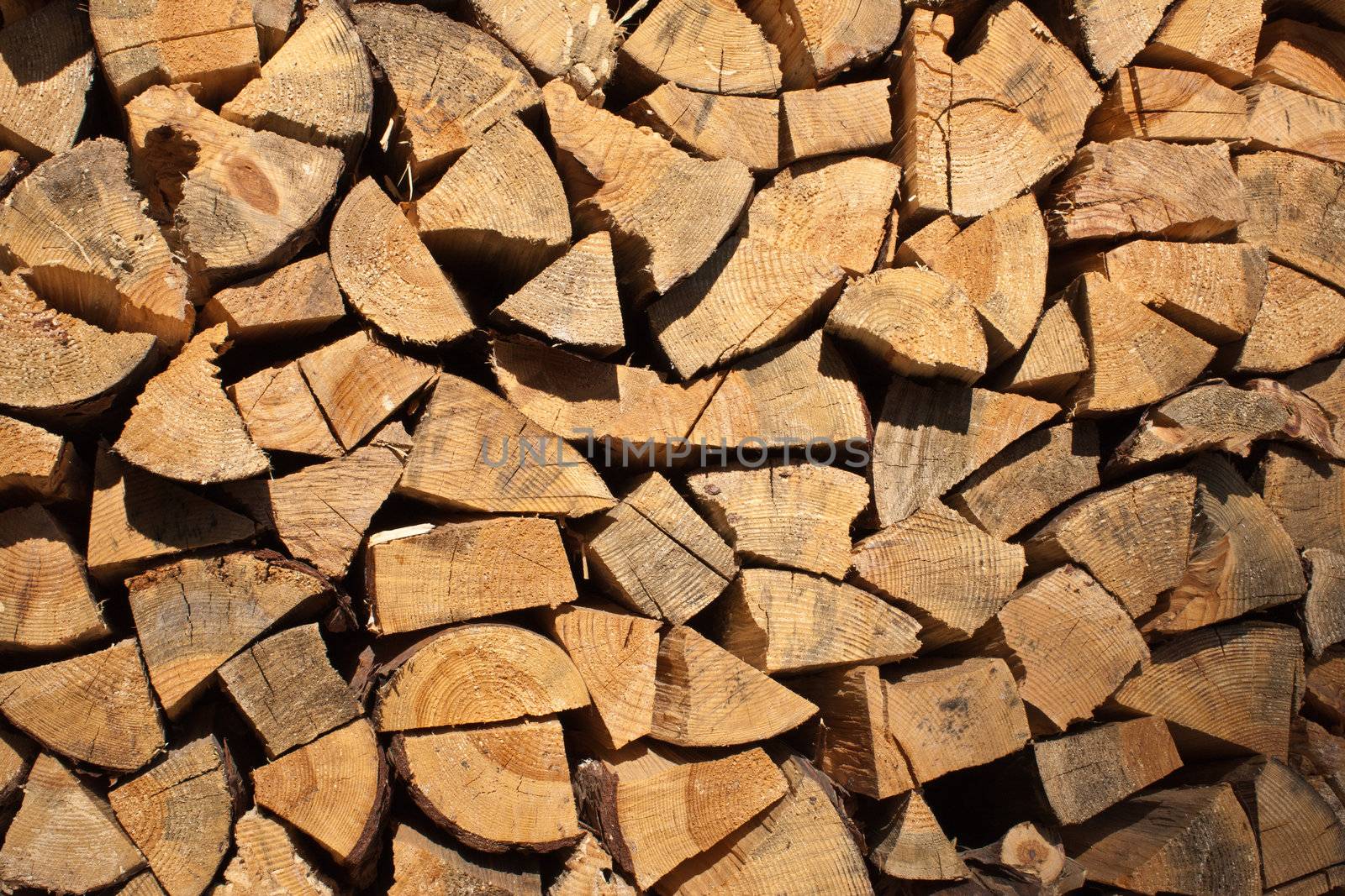 texture series: dry firewood background on sun
