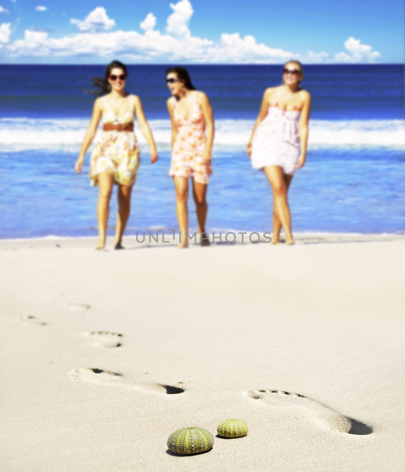 Sea urchin shells on the beach with three young women in the background