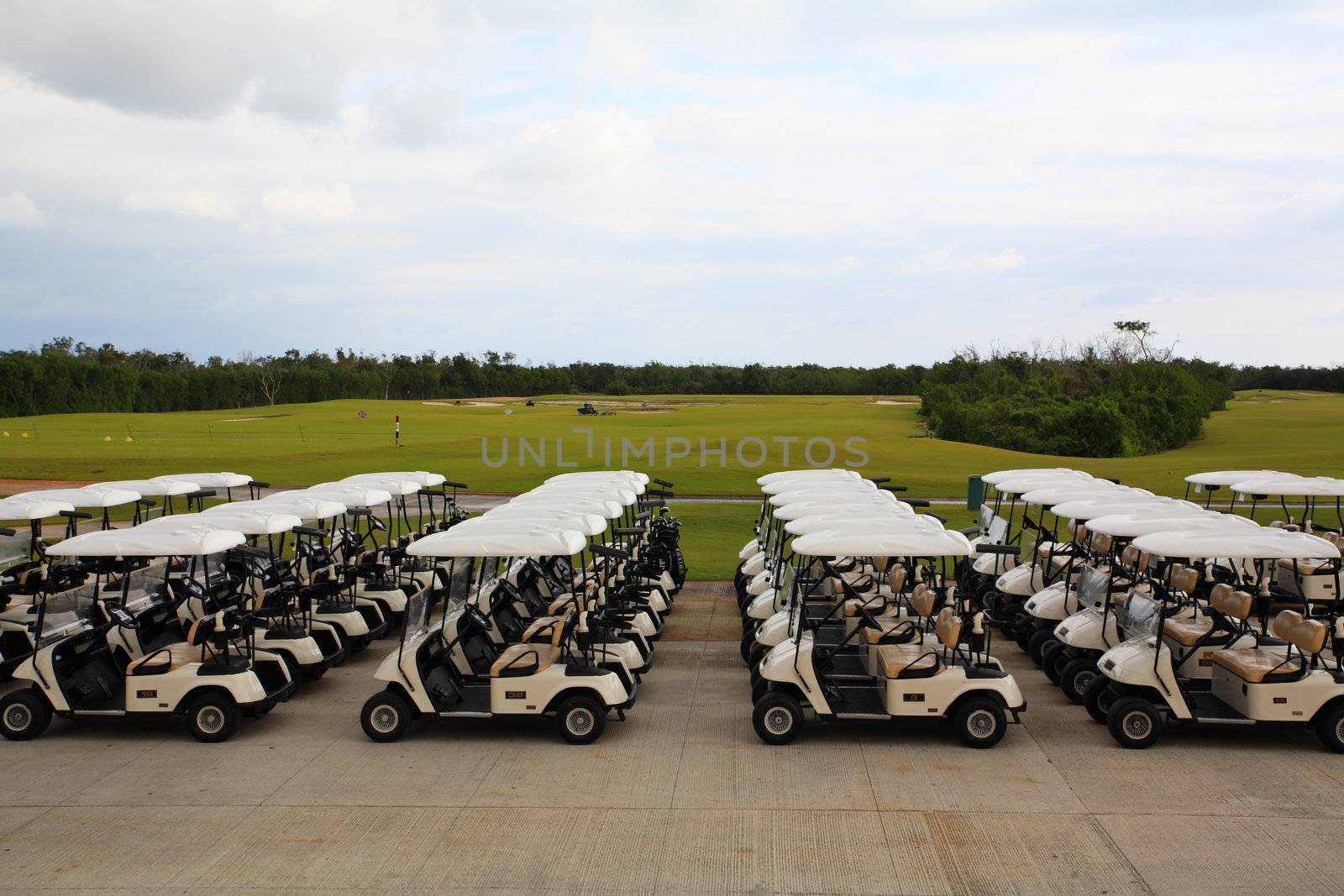 golf carts in a Cancun resort, a fisheye view