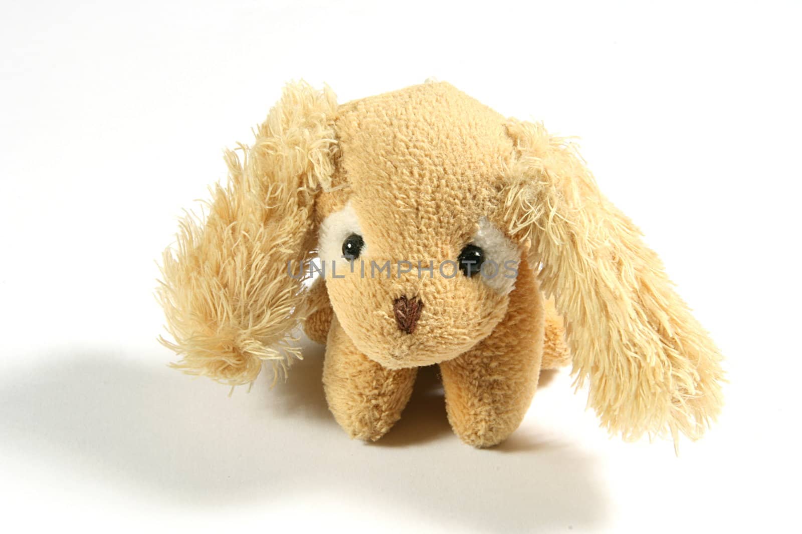 small soft toy dog