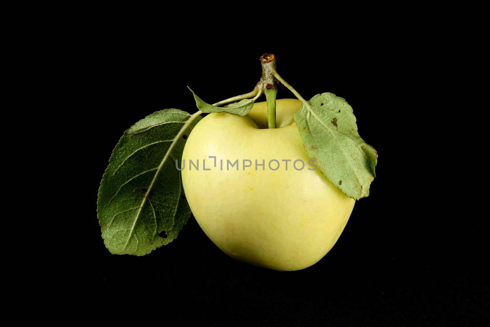 yellow apple on black background