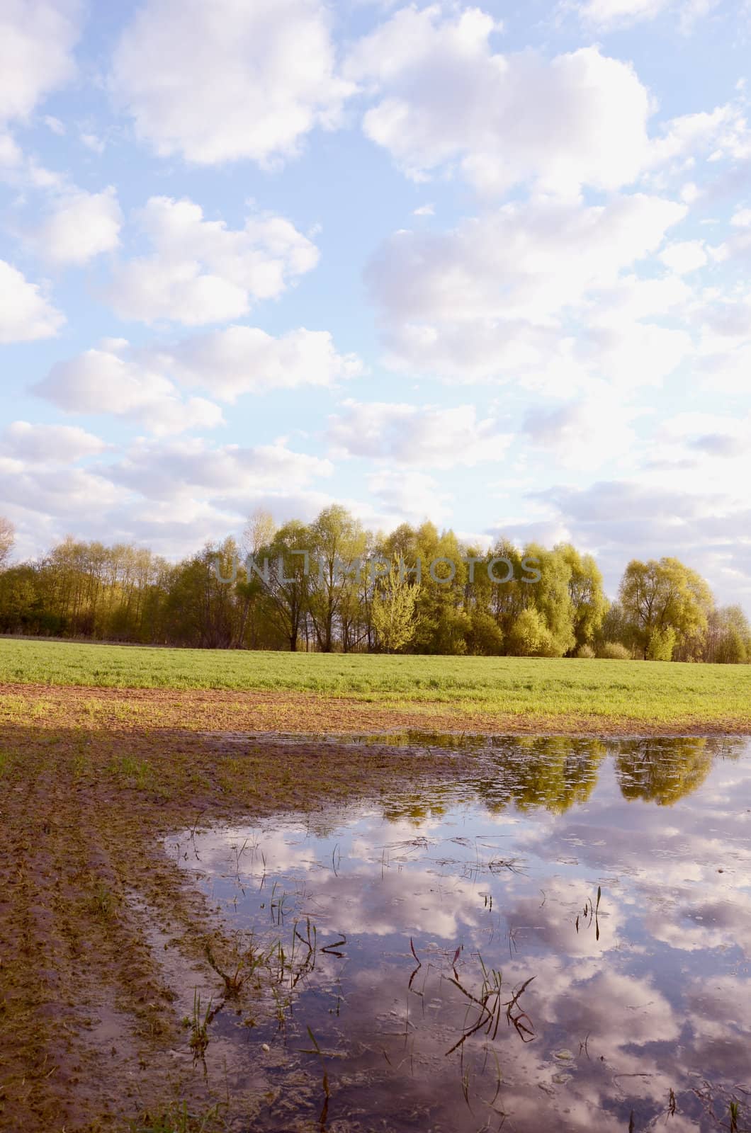 early morning spring landscape with water and clouds