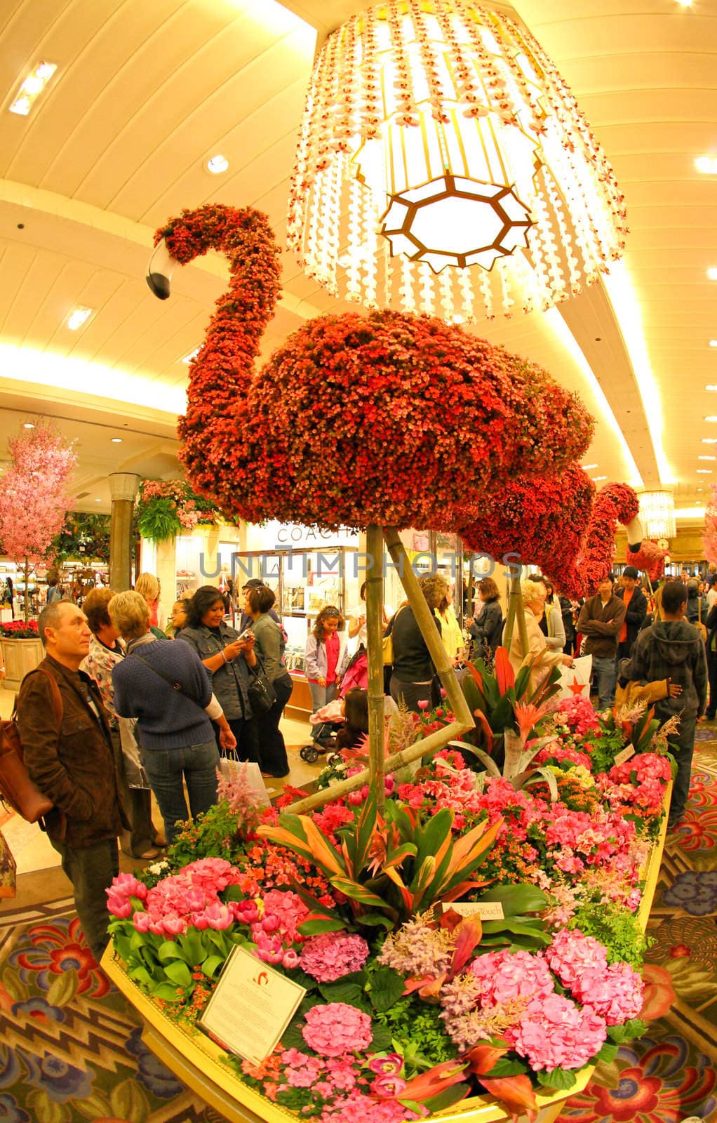 New York City, April 17,2009: The famous Macy's Flower Show in the department store at the Herald Square in midtown Manhattan.