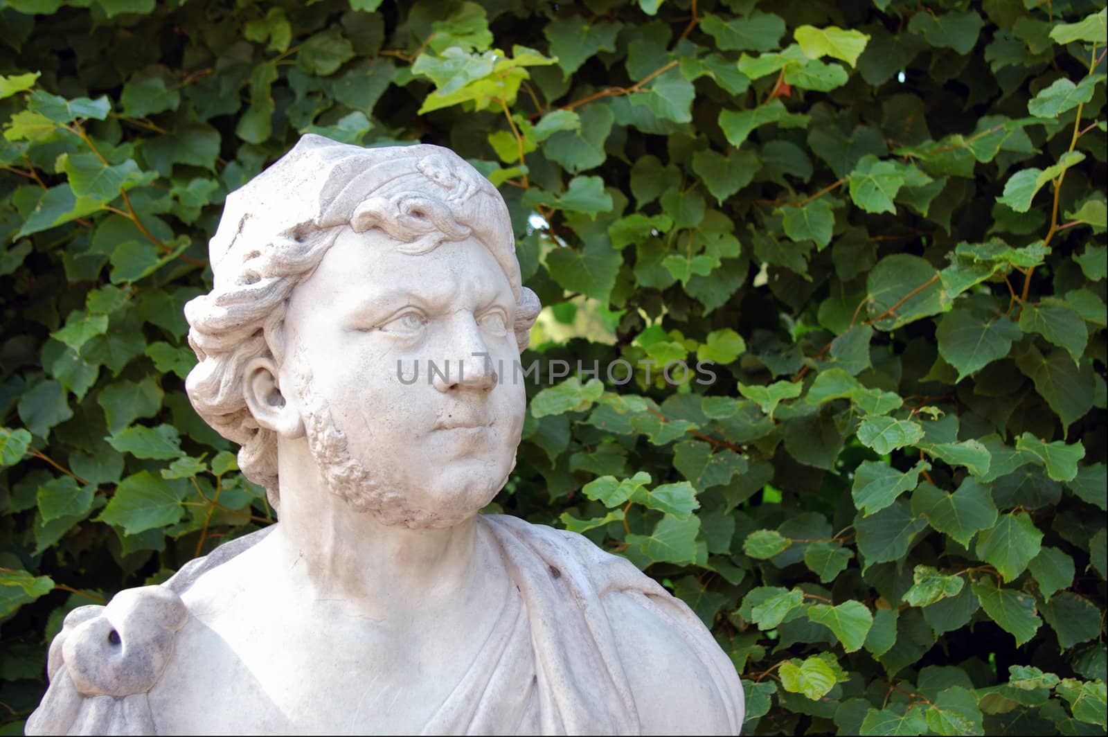 Close-up sideview of a antique statue in a imperial garden in Russia.