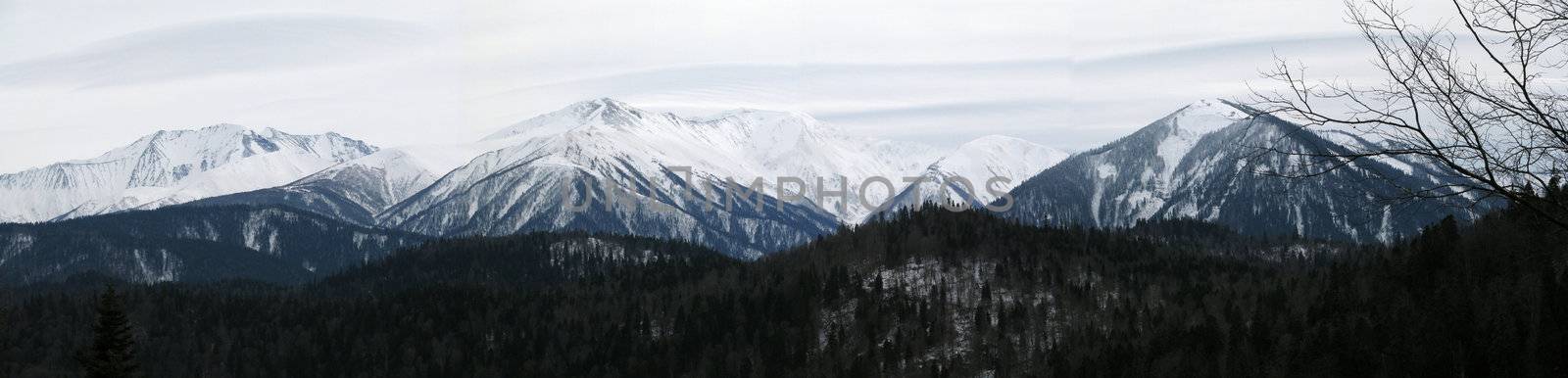 The main Caucasian ridge; rocks; a relief; a landscape; a hill; a panorama; high mountains; peaks; caucasus; top