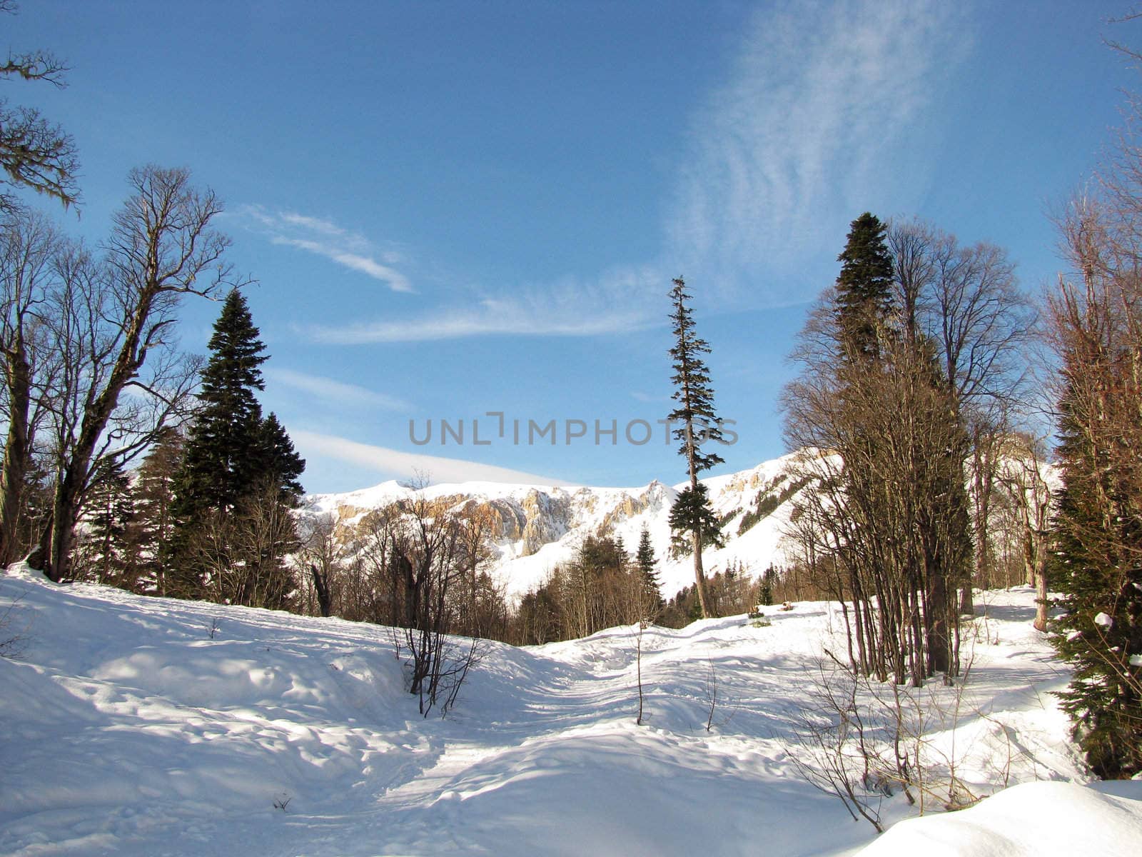 The main Caucasian ridge; rocks; a relief; a landscape; a hill; a panorama; high mountains; peaks; caucasus; top