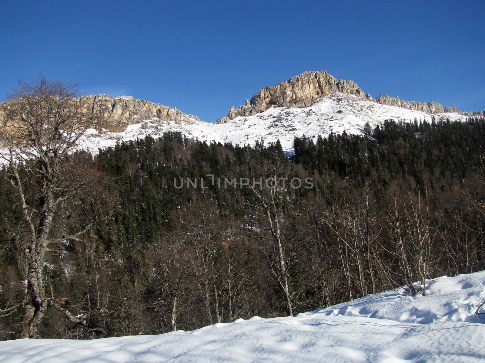 The main Caucasian ridge; rocks; a relief; a landscape; a hill; a panorama; high mountains; peaks; caucasus; top