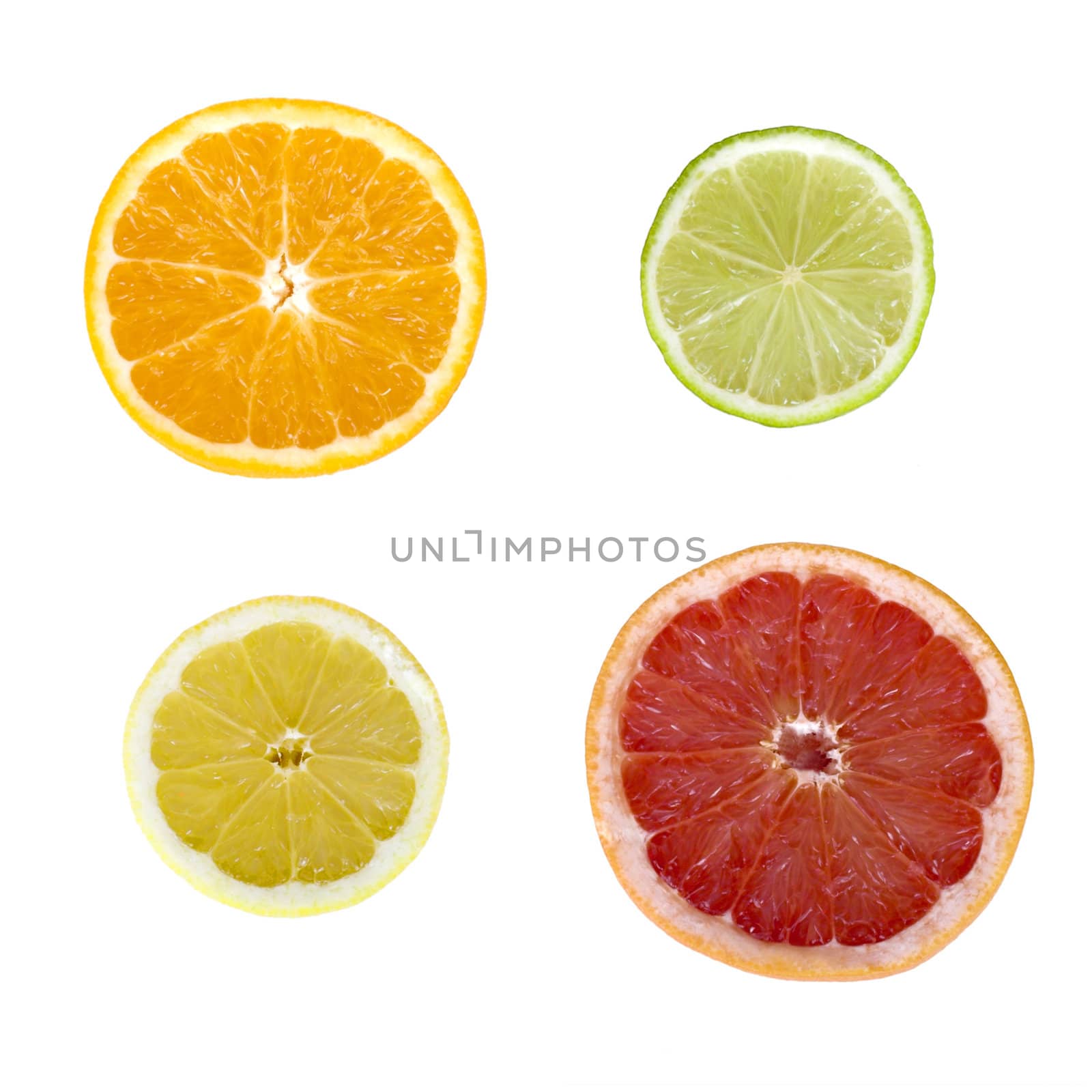 Citrus fruit slices by Iko