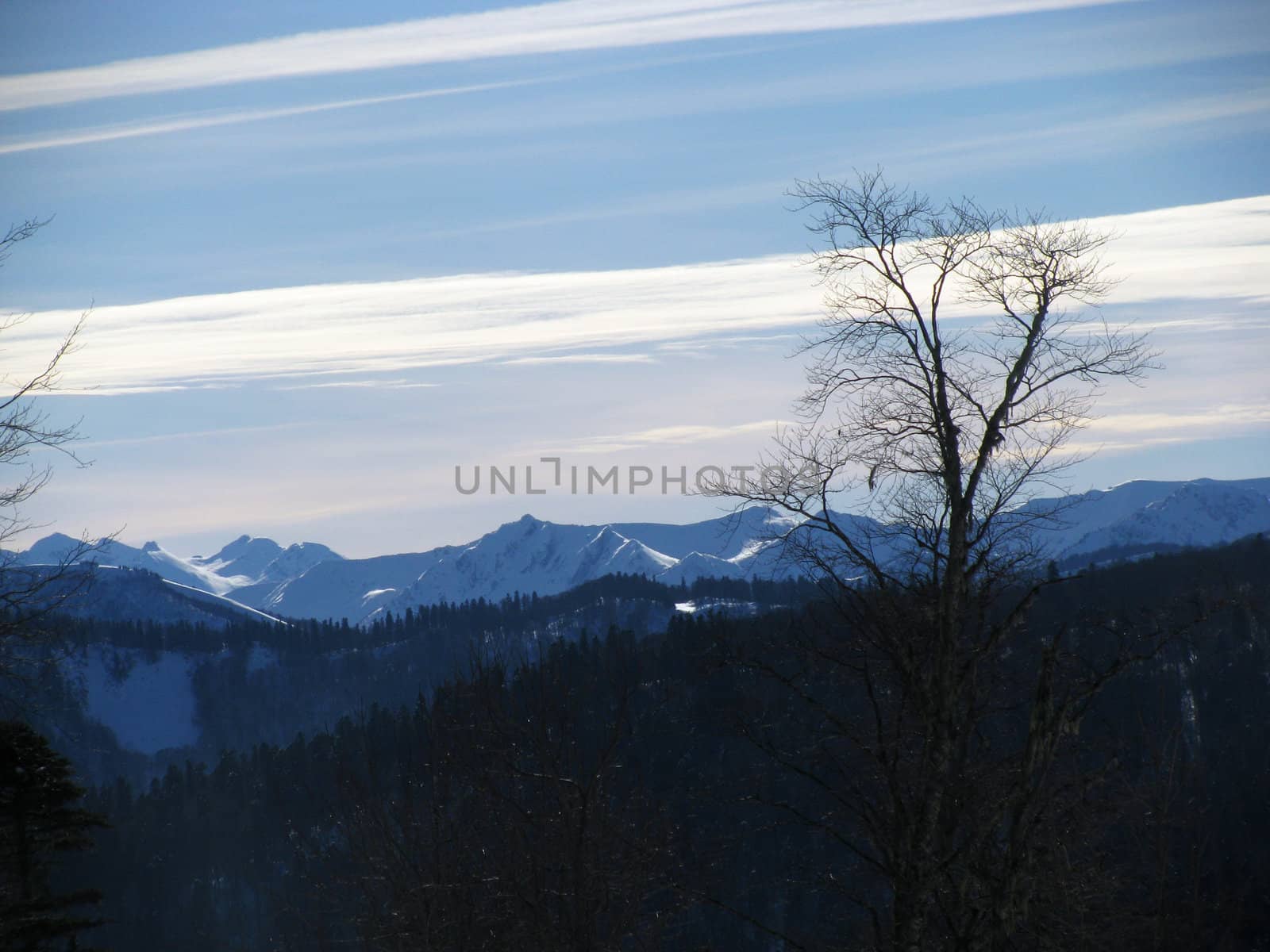 The main Caucasian ridge; rocks; a relief; a landscape; a hill; a panorama; high mountains; peaks; caucasus; top; a slope