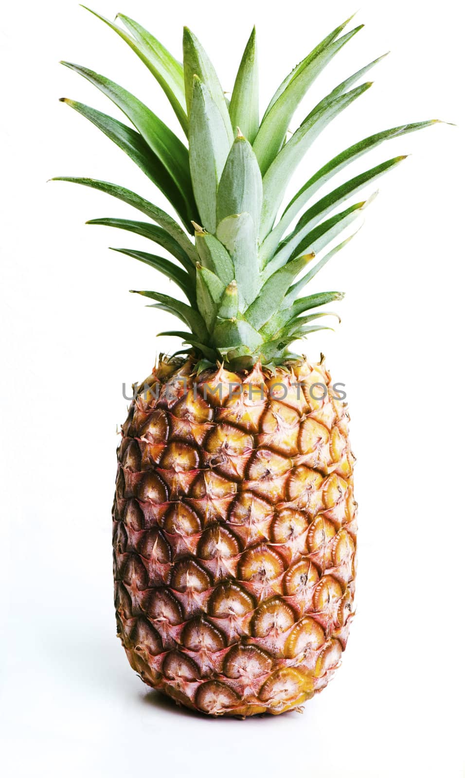 A single pineapple, isolated on white.
