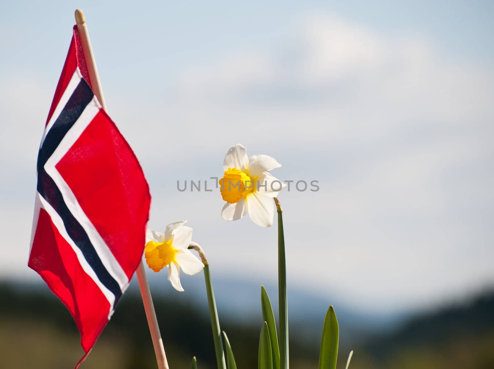 Noregian flag by kenneththunes