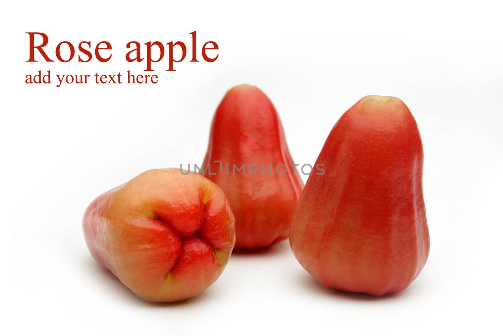 Rose apples or Chomphu isolated on white background