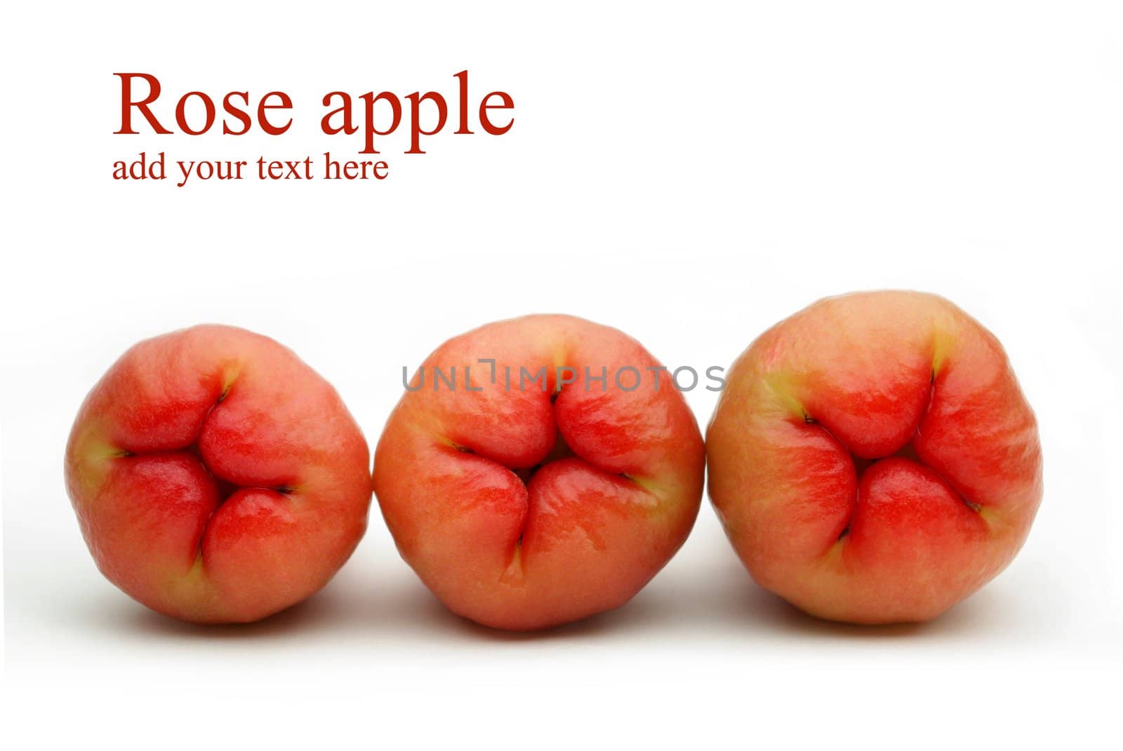Rose apples or Chomphu isolated on white background