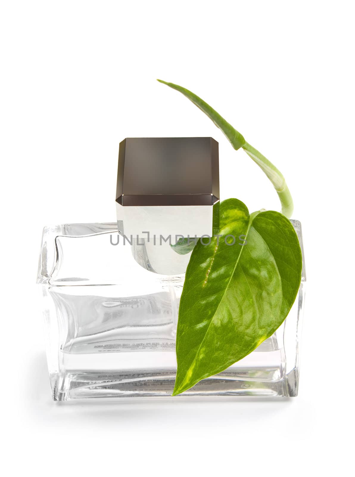 Scent bottle isolated on a white background
