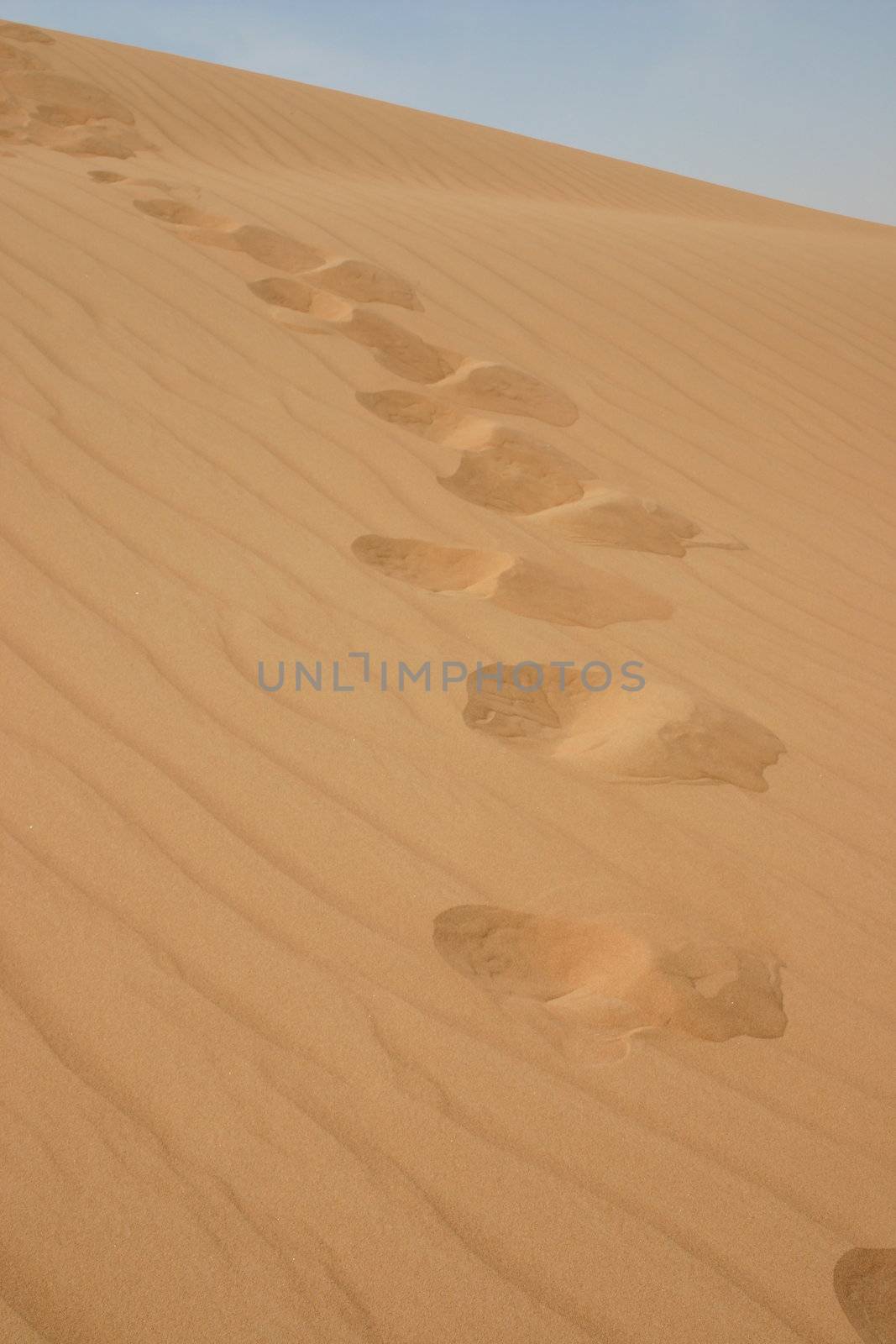 Footsteps in the desert by michele