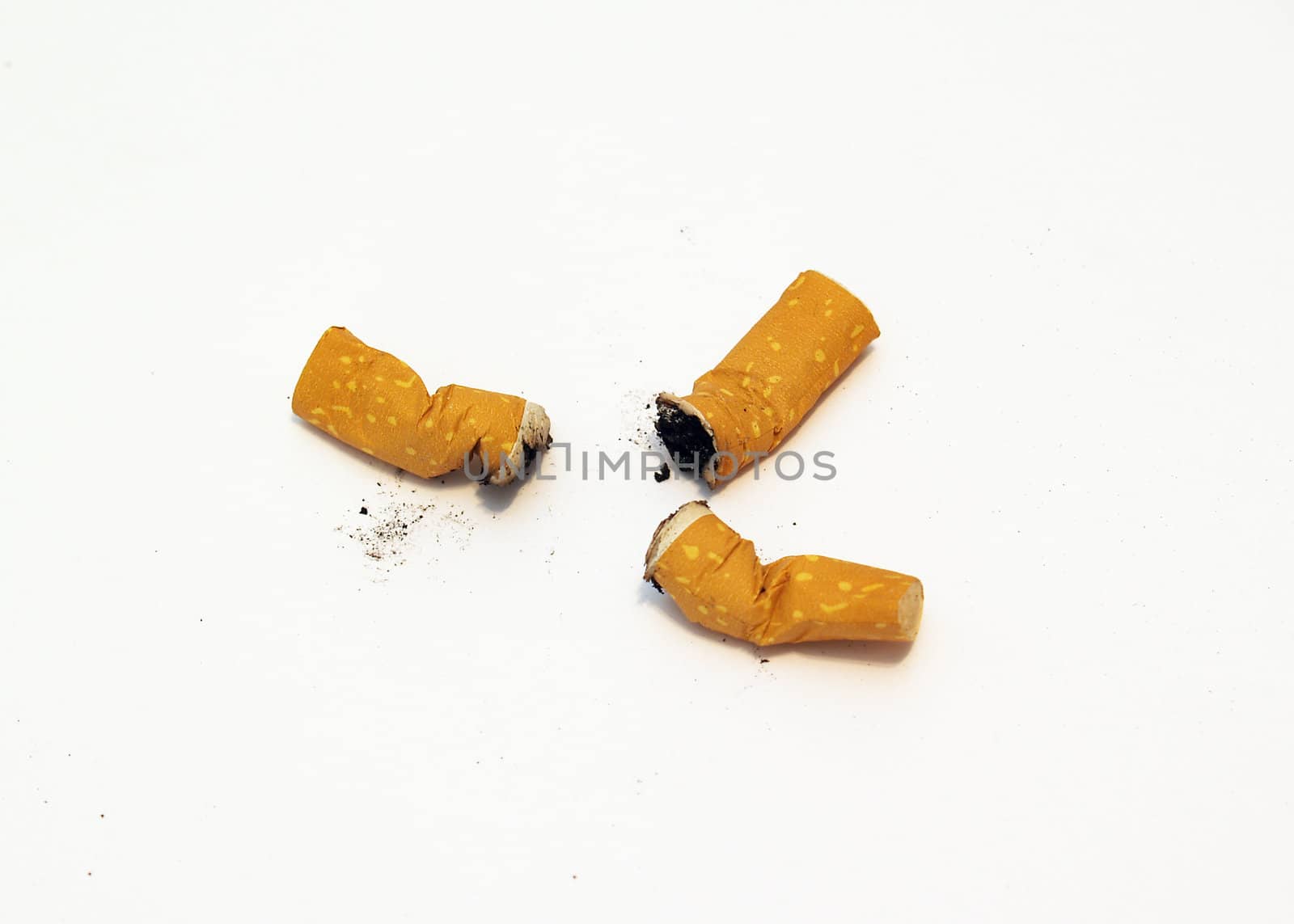 cigarette butts by lauria