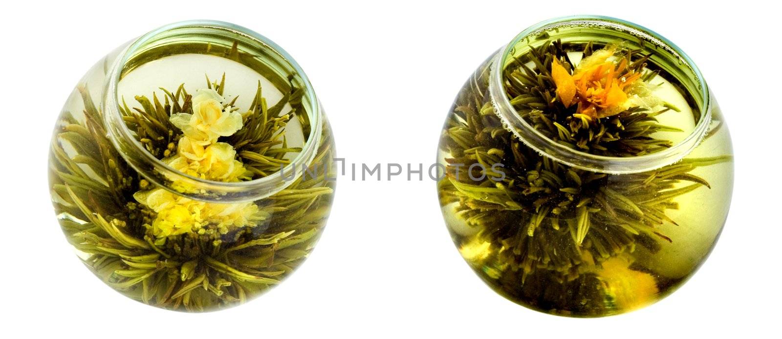 Special for spa and restaurants. Green tea with a beautiful chrysanthemum flower. Isolated on white
