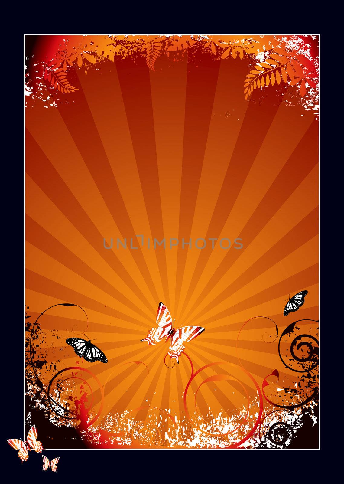 Nature inspired orange and black background with butterflie