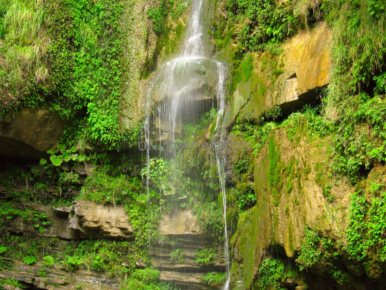 Small waterfall and stone