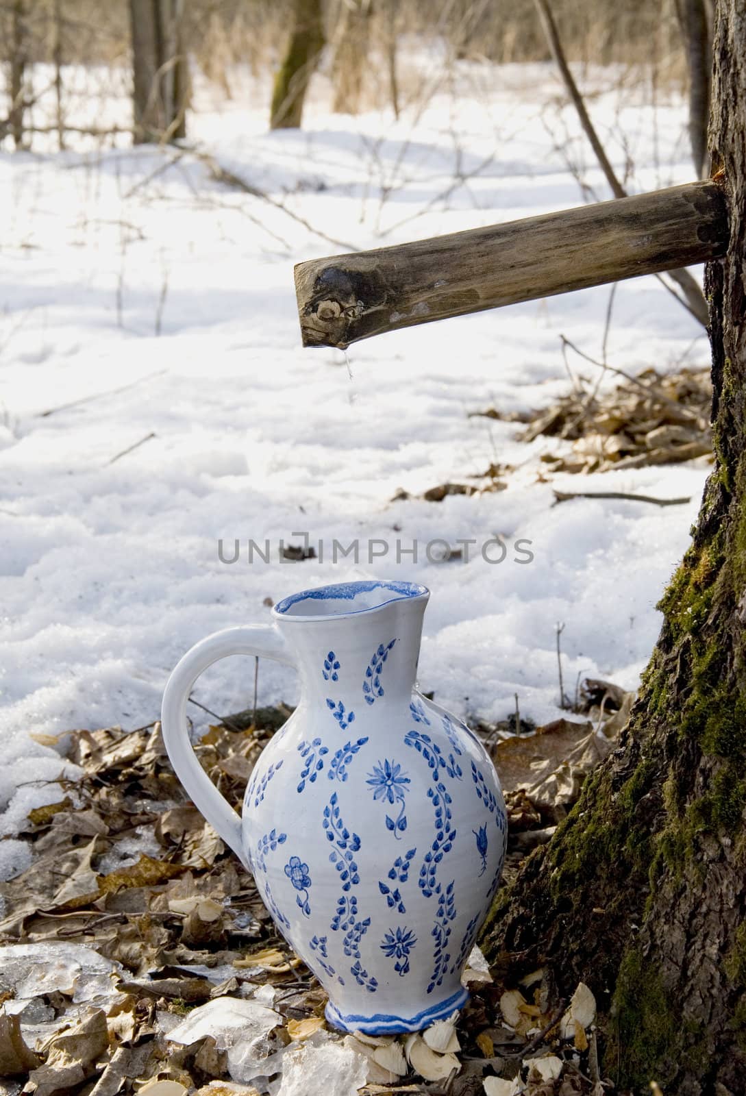 Birch sap drops in white ornamental ceramic pitcher