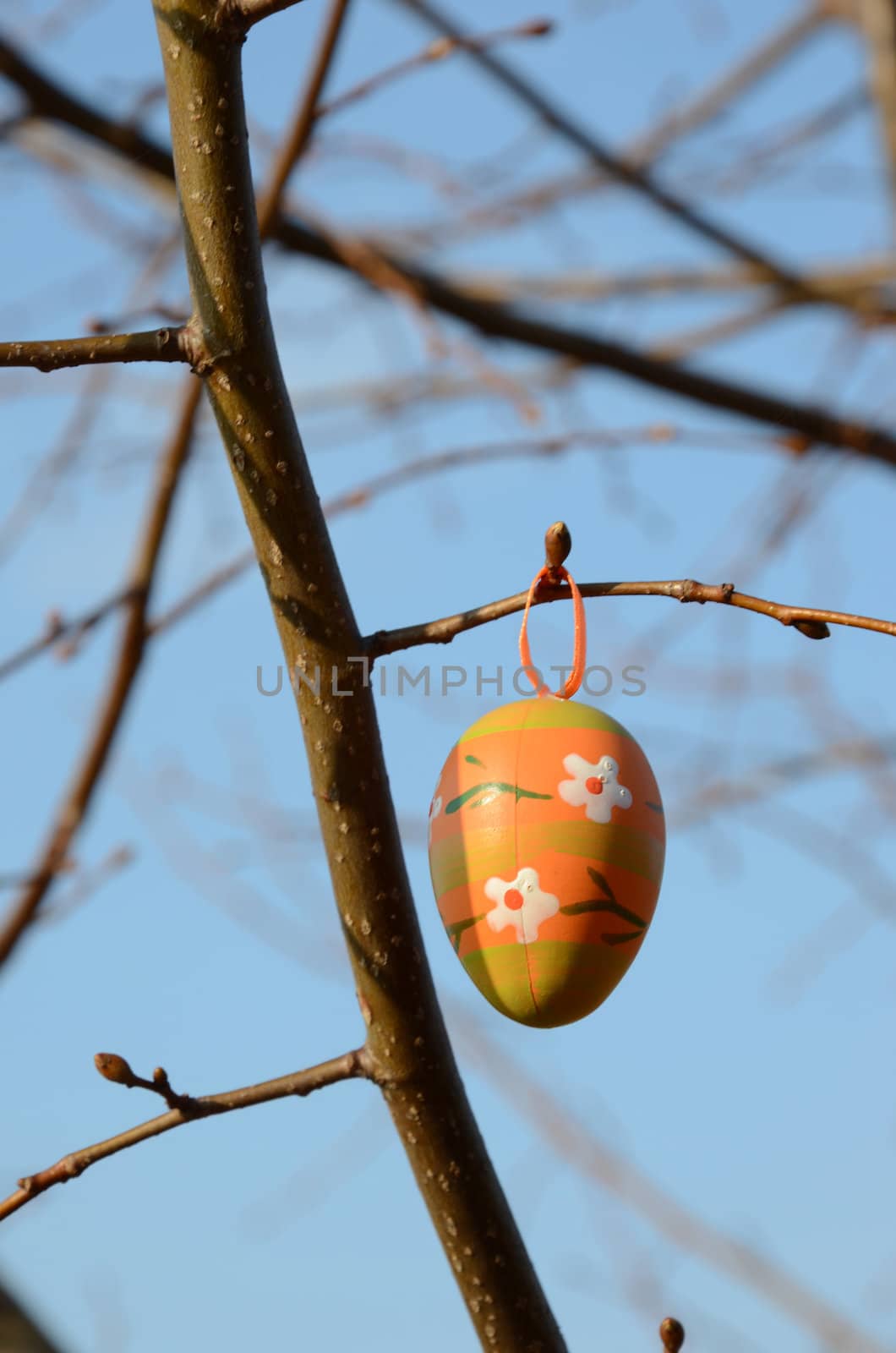 Spring tree branches decorated with painted Easter egg