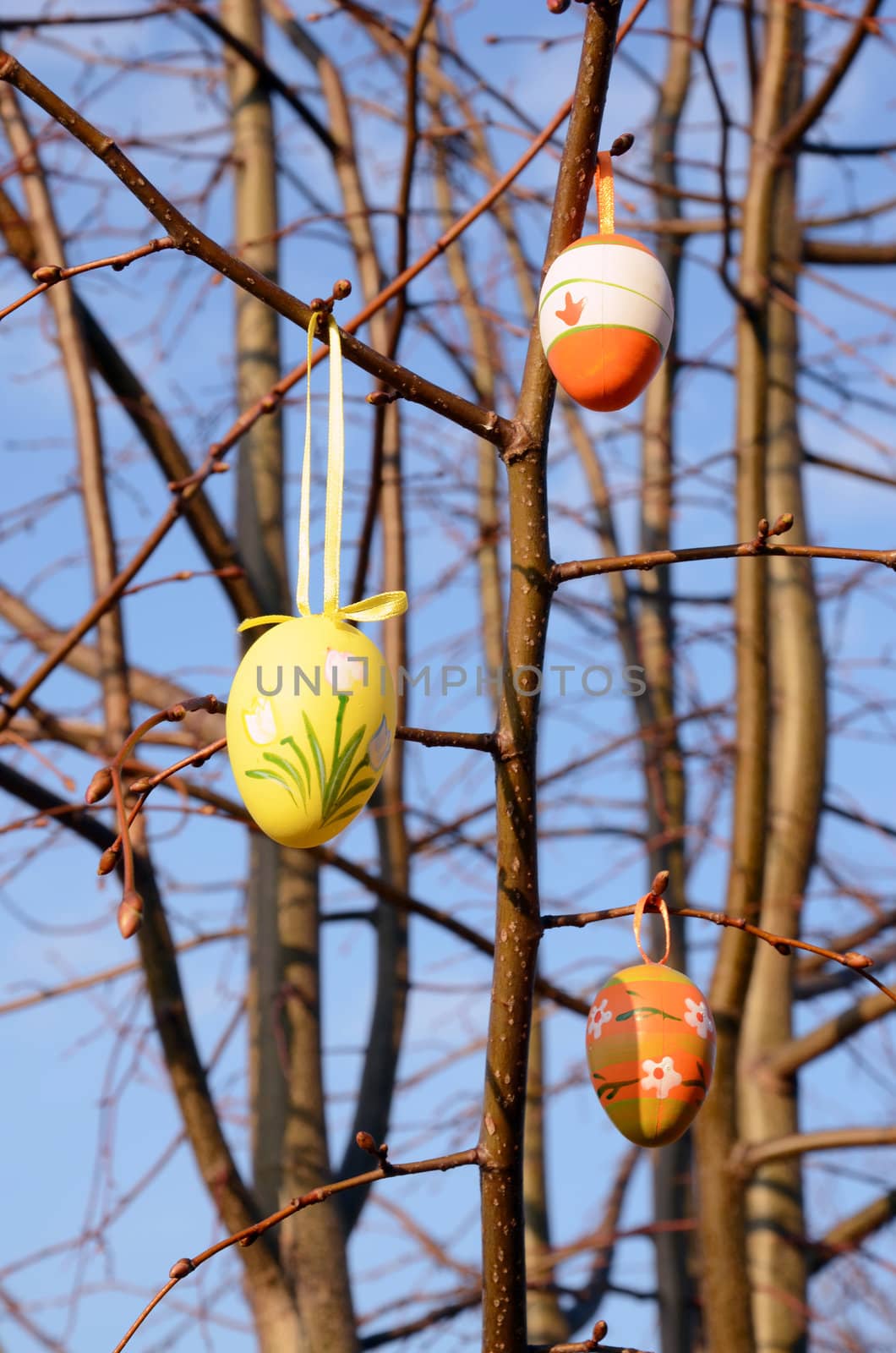 Easter eggs hanging on spring tree branches. Nice decoration.