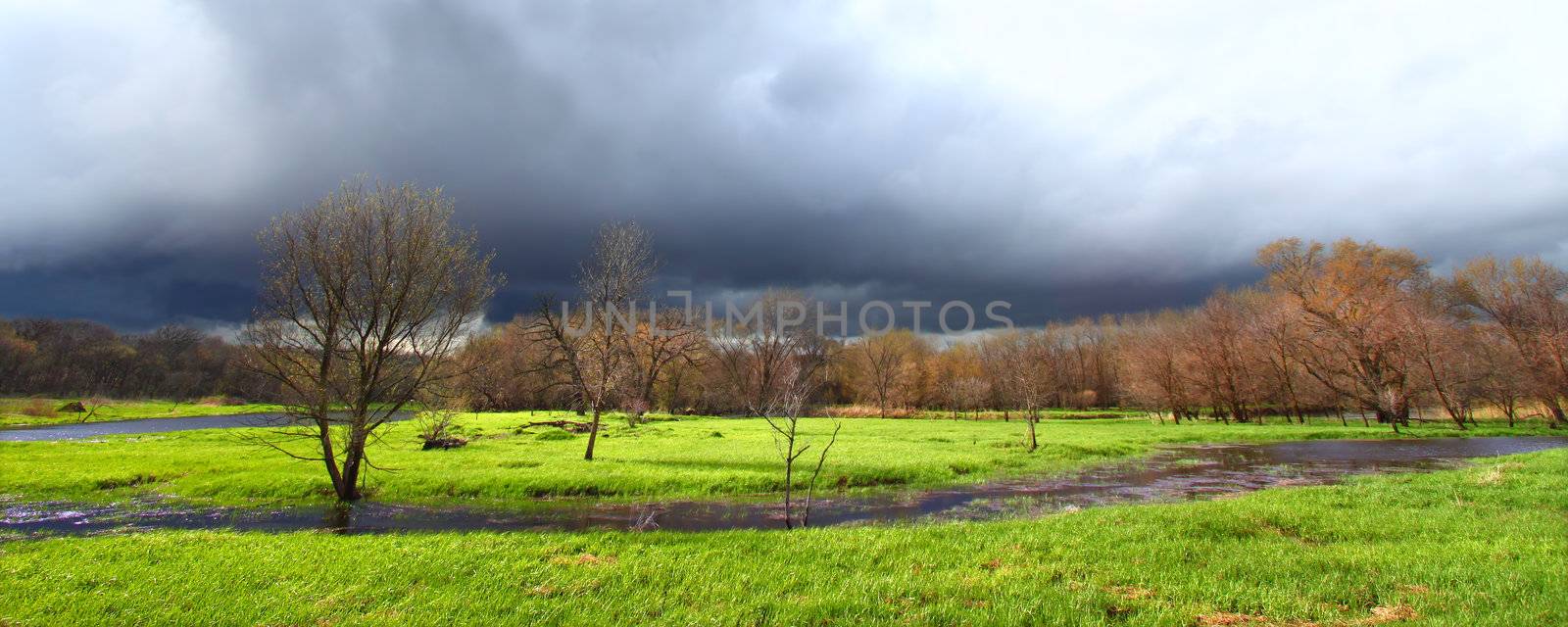 Dark clouds precede a spring thunderstorm over an Illinois wetland.