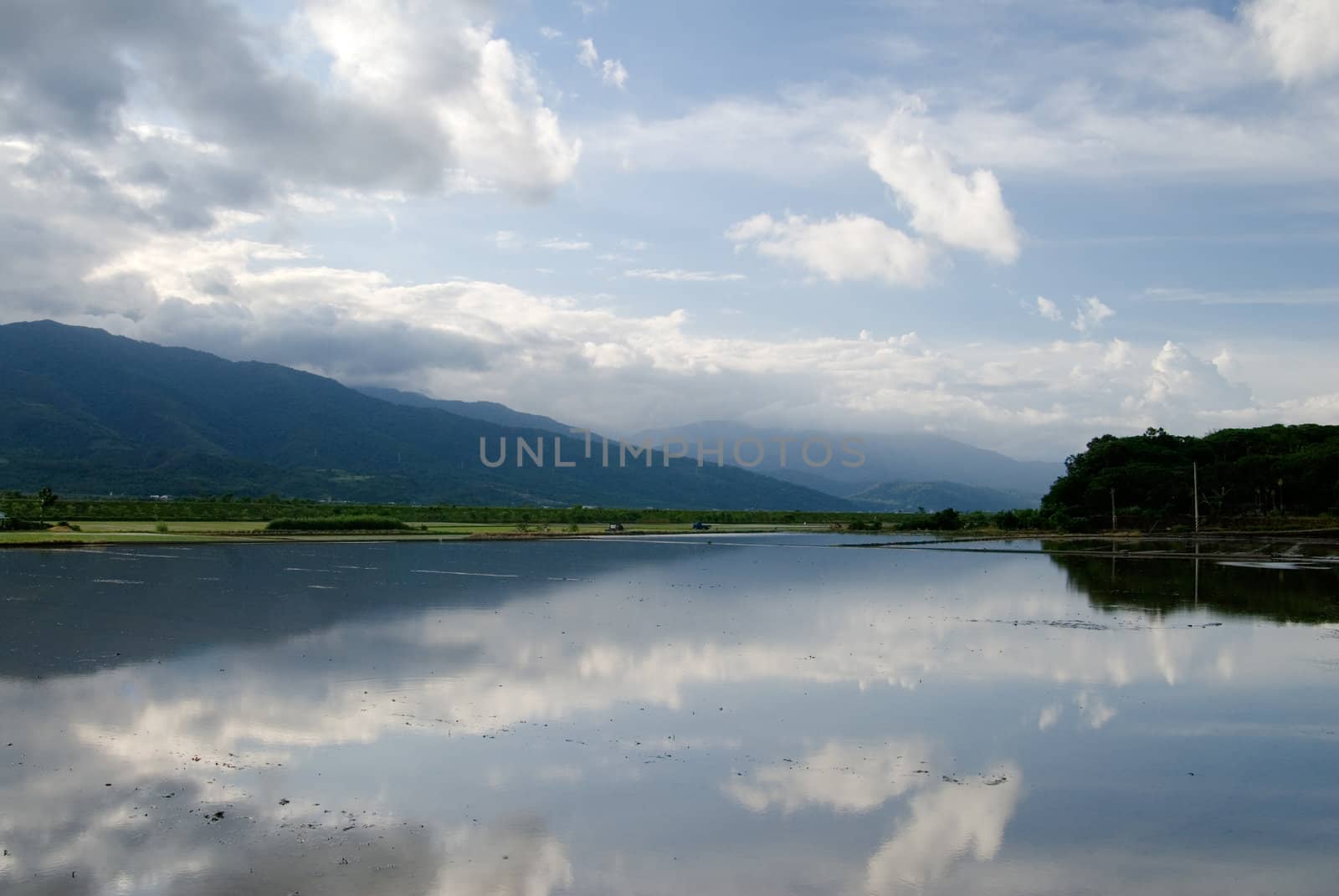 It is paddy field full of water.