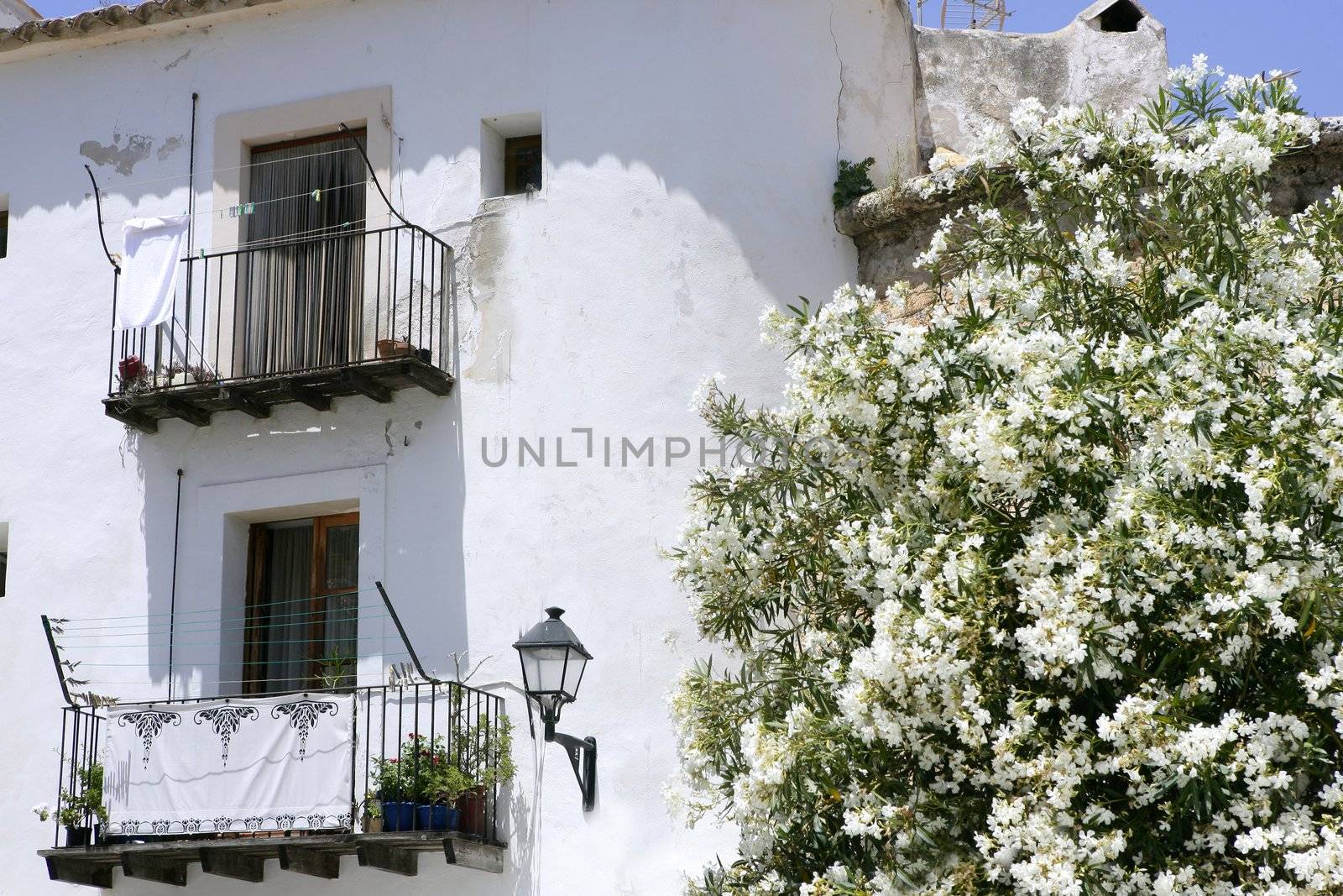 Ibiza Balearic Mediterranean white island in Spain by lunamarina