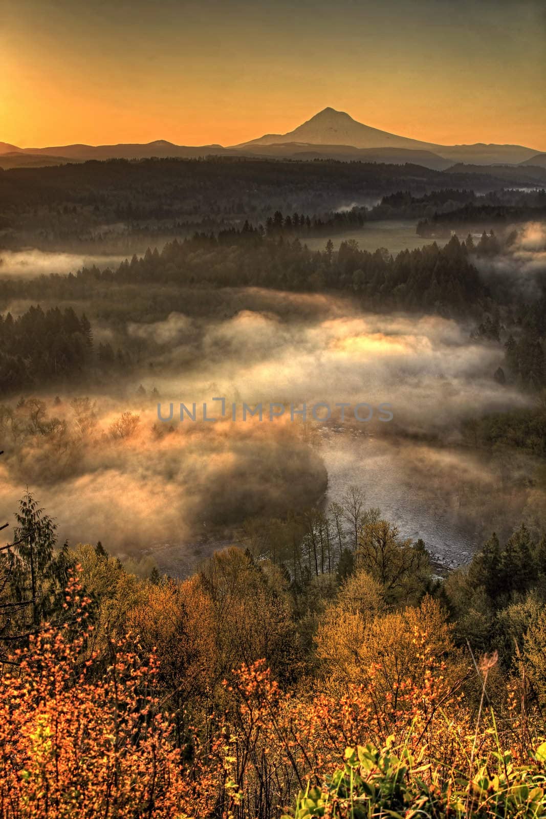 Sunrise Over Mount Hood One Foggy Morning Along Sandy River Bend Vertorama