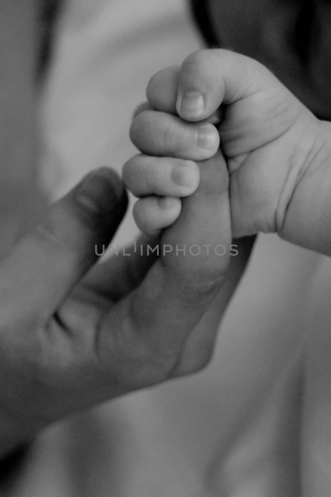 Baby hold mother finger, black and white