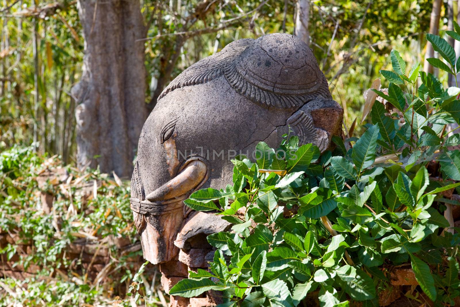 elephant sculpture in Indein, Burma, Myanmar (also called Indiana Jones temples of Doom) 