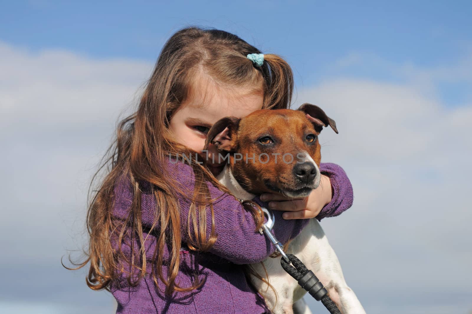 portrait of a purebred jack russel terrier and little girl in the nature