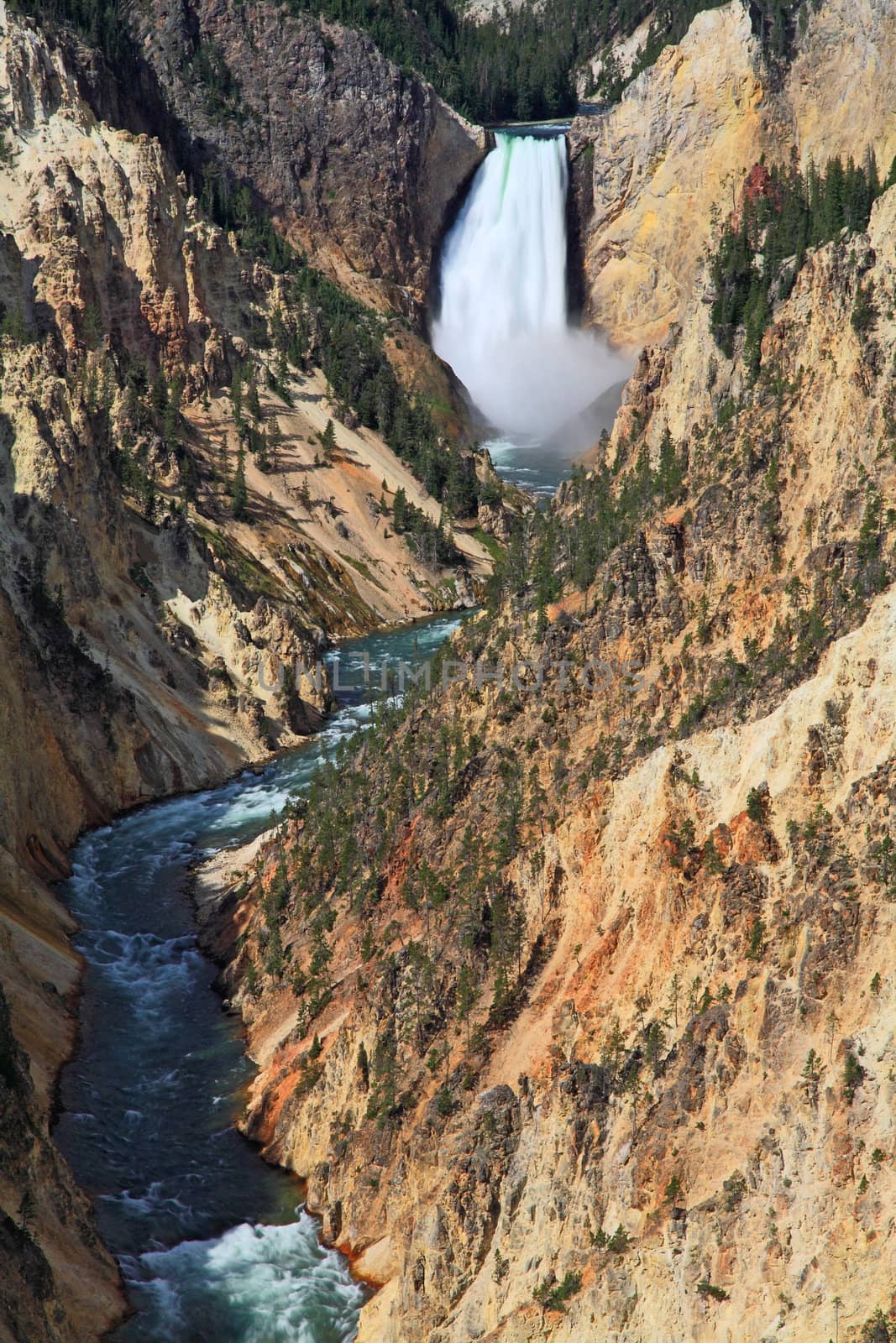 The Lower Falls at the Grand Canyon of the Yellowstone