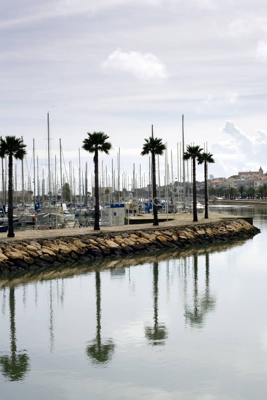 Along the canal waters, with palm trees and their reflection dotting the scene, and a marina in the background.  Vertical Composition. Taken in Lagos, Portugal