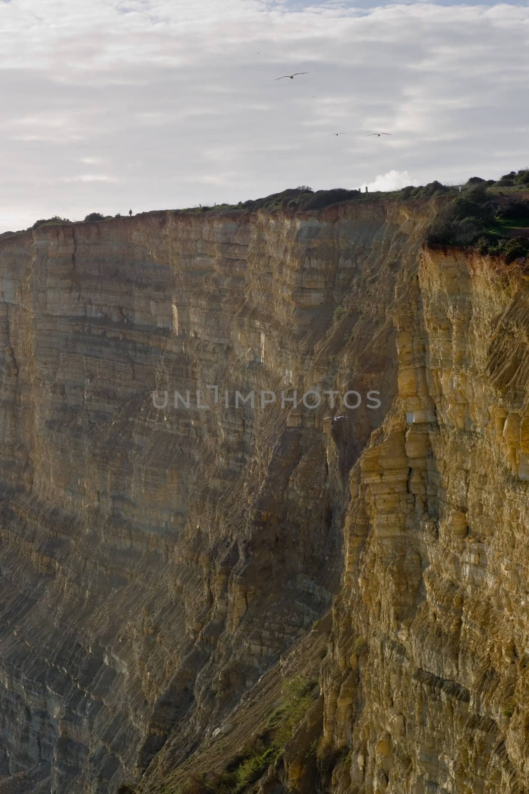 Cliffs of Lagos in Portugal by woodygraphs