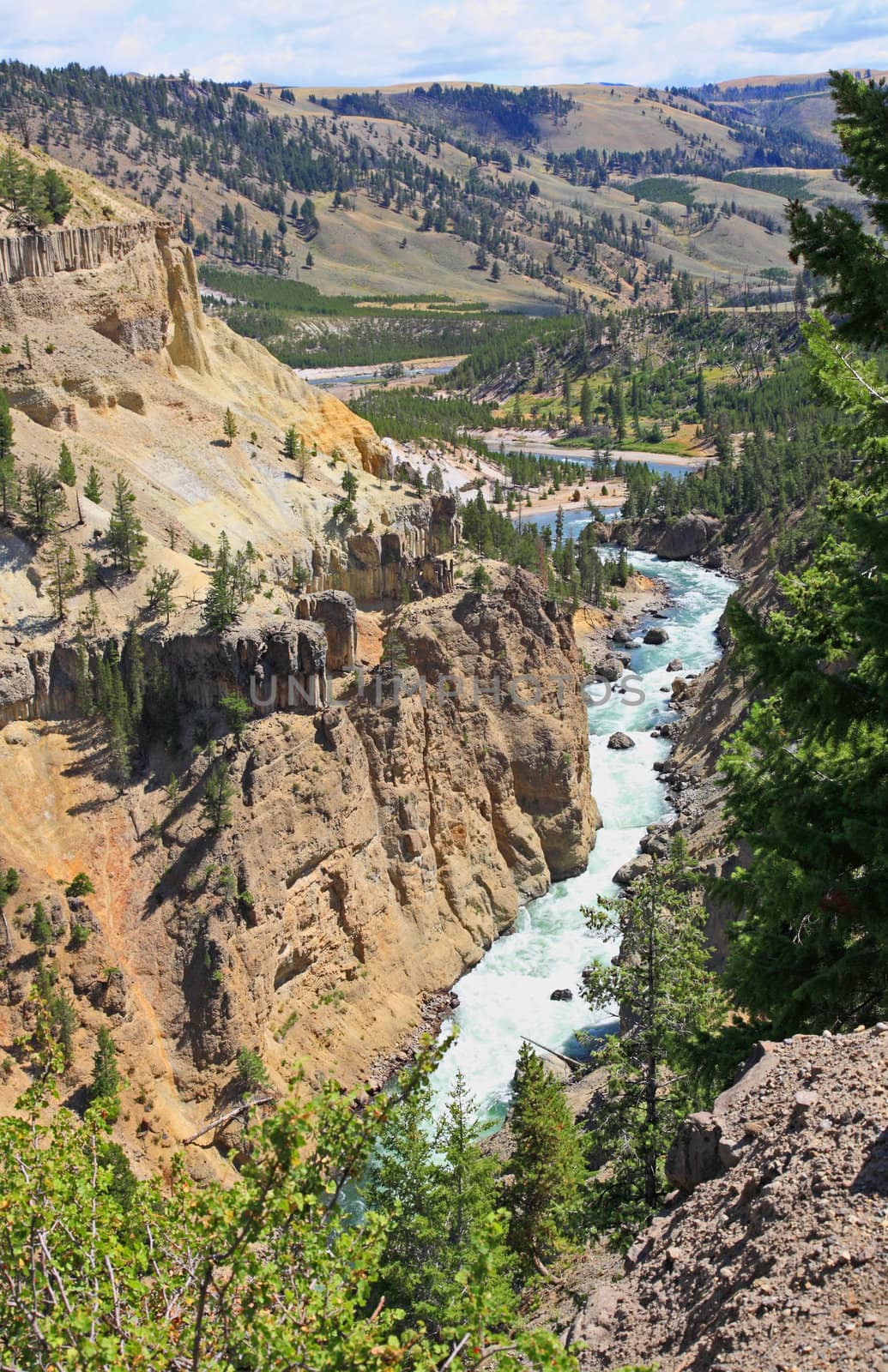 The Yellowstone River in Yellowstone National Park in Wyoming 