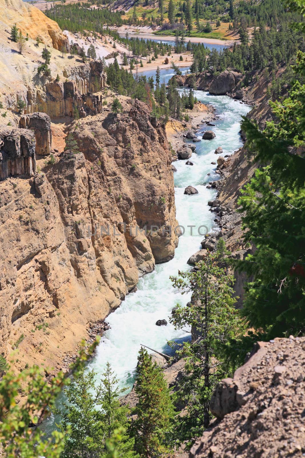 The Yellowstone River in Yellowstone National Park in Wyoming 