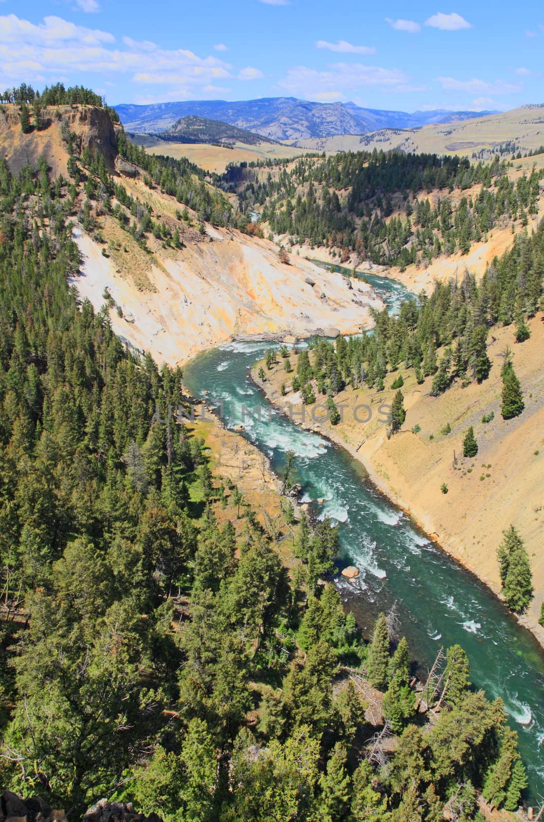 The Yellowstone River in Yellowstone National Park in Wyoming 