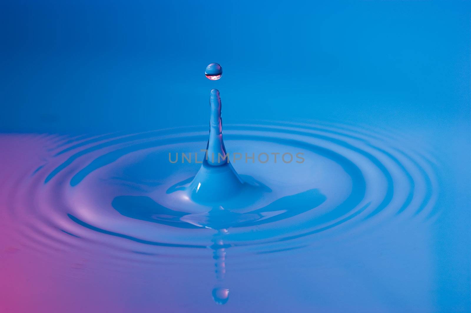 A drop of the water