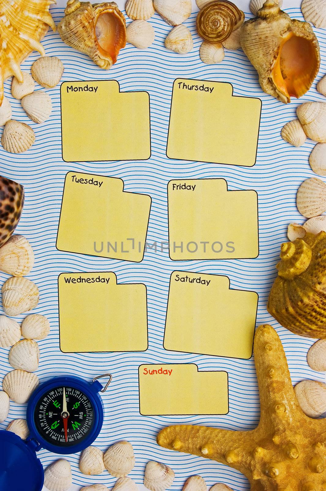 Calendar for the week is framed seashells