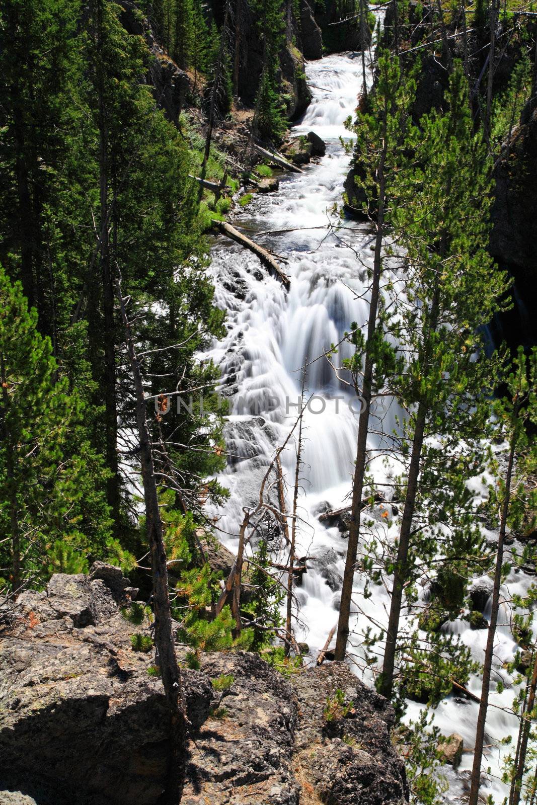The Kepler Cascades in the Yellowstone National Park