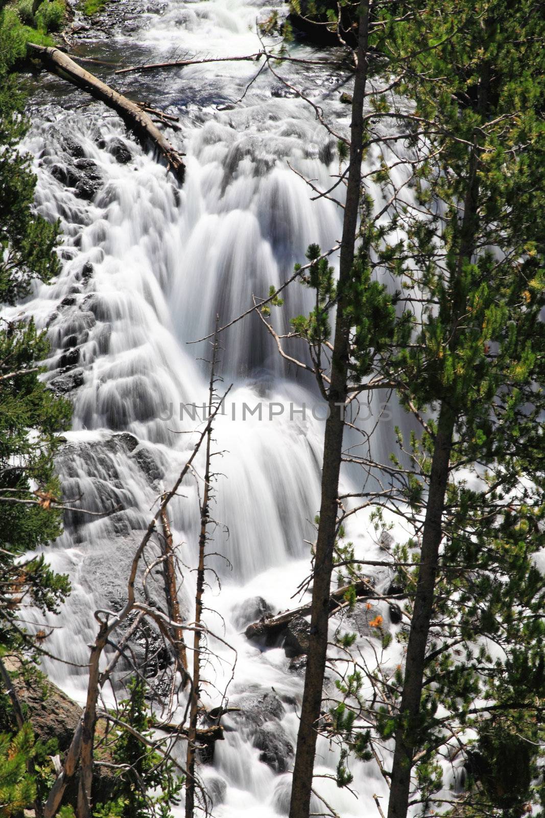 The Kepler Cascades in the Yellowstone National Park
