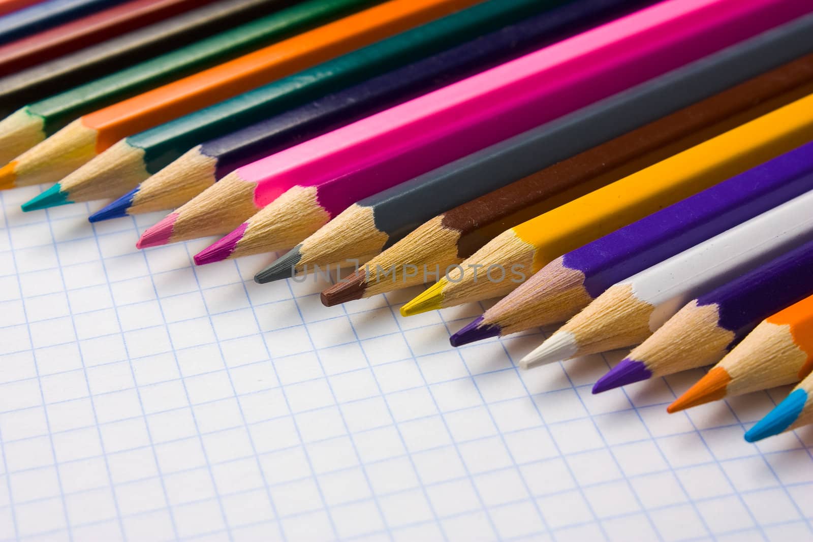 Pencils by oleg_zhukov