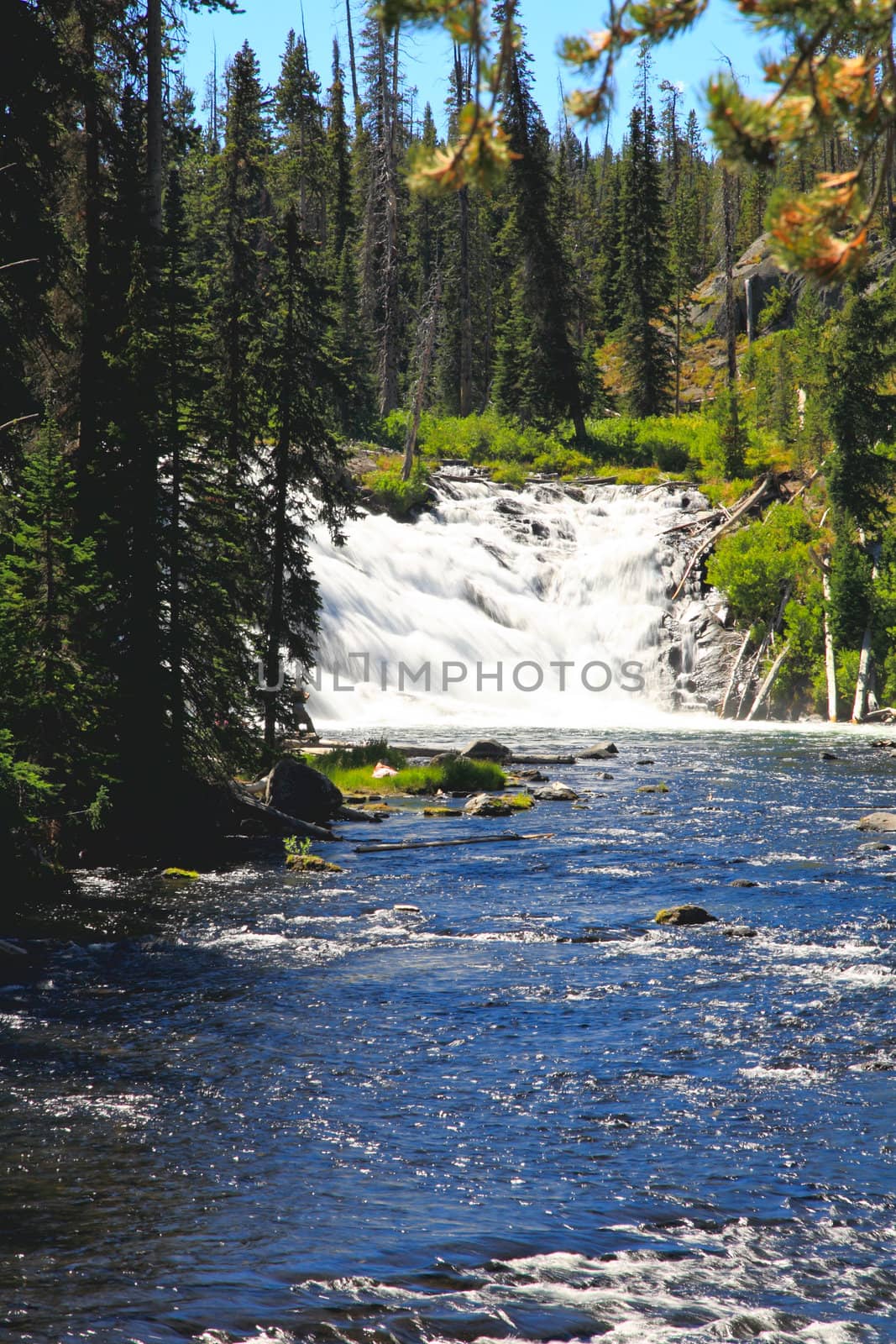 The Lewis Falls in the Yellowstone National Park