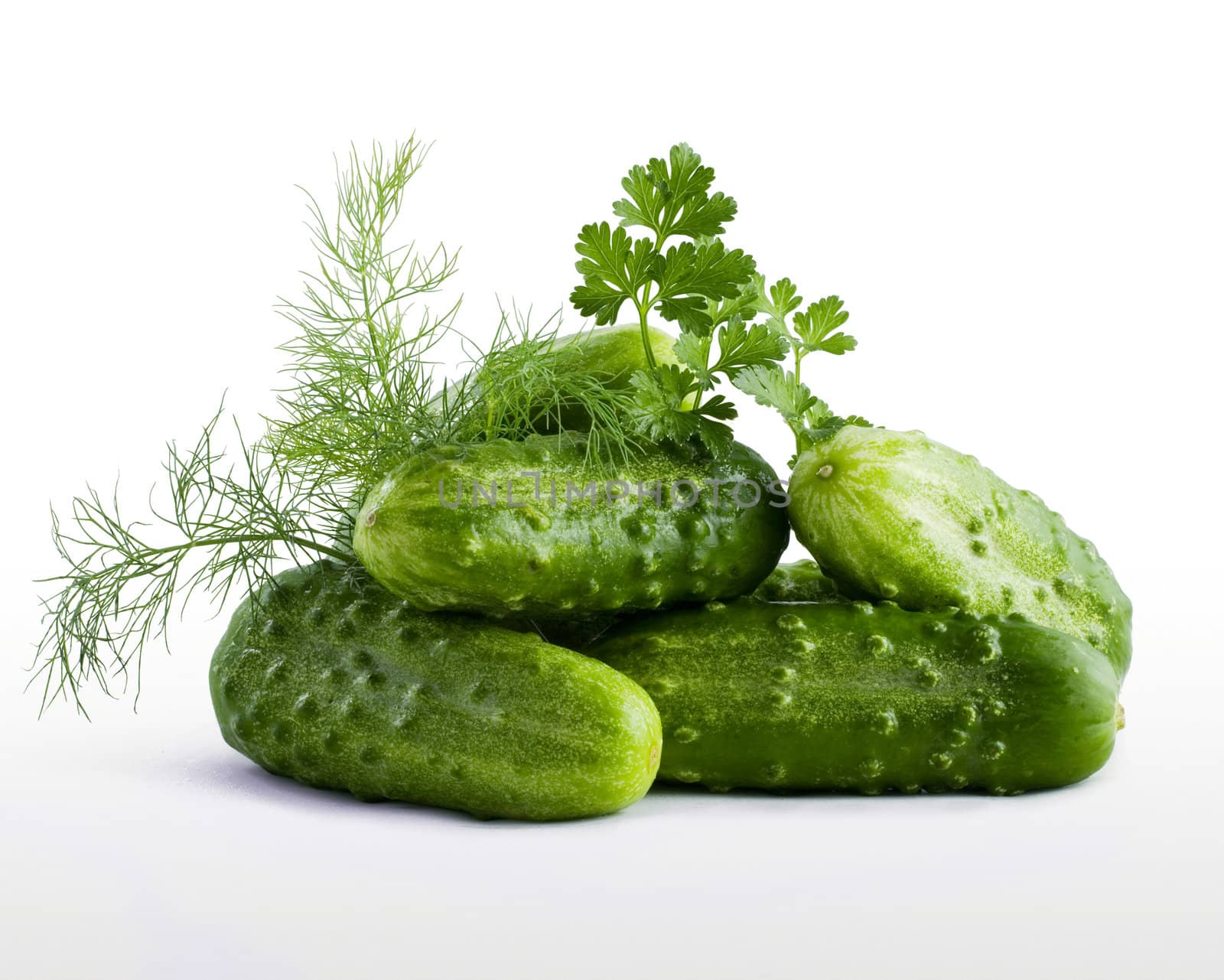 handful of fresh cucumbers with parsley and dill by oleg_zhukov