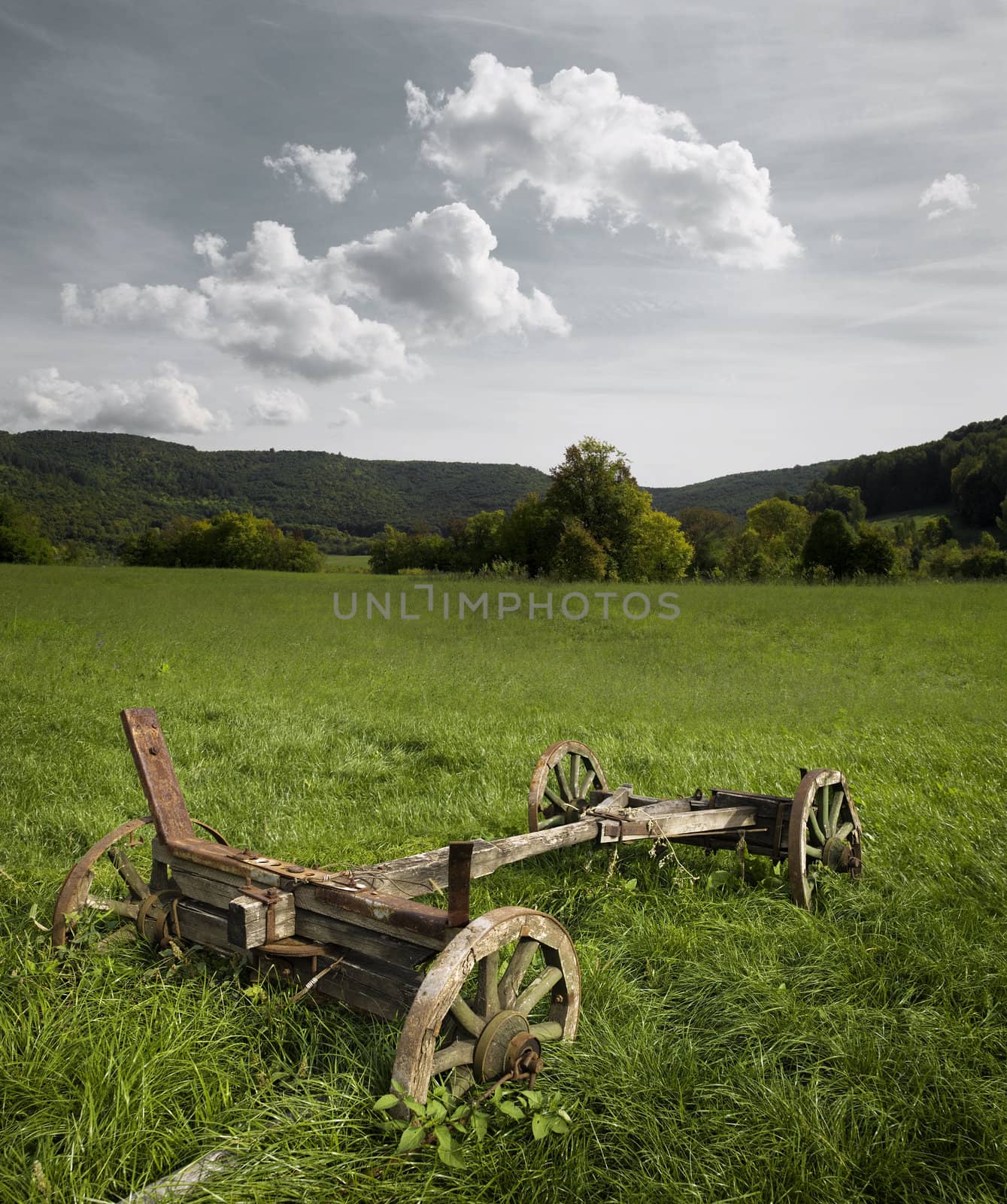 old wagon in the field by oleg_zhukov