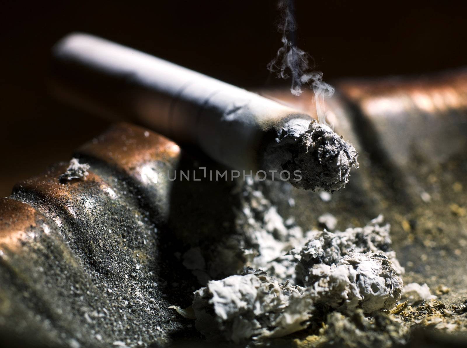 Cigarette butt by oleg_zhukov